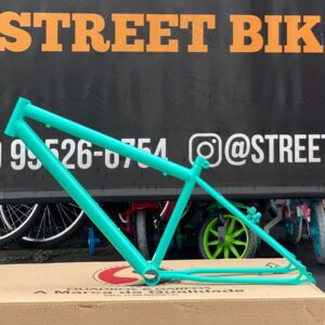 QUADRO SAMY ARO 26 REDUZIDO VERDE AQUA