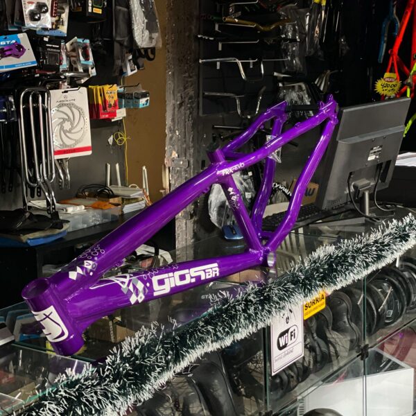 QUADRO GIOS FRX-EVO