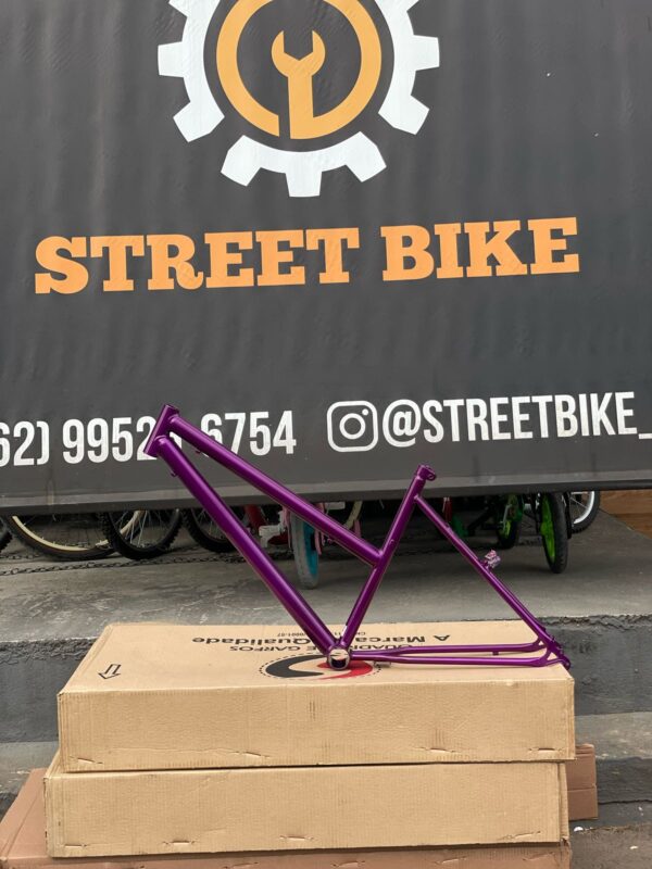 Quadro aro 26 poti samy roxo metálico