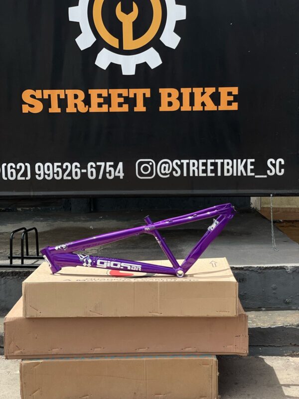 Quadro gios FRX-EVO aro 26 roxo